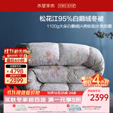 水星家纺羽绒被鹅绒被95%白鹅绒被子冬被冬季加厚被芯双人220×240约5.2斤