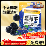 三只松鼠每日蓝莓干500g 蜜饯果干酸甜休闲零食下午茶孕妇儿童健康零食