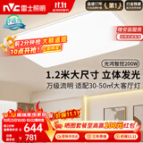 雷士（NVC）吸顶灯具客厅灯大灯智能高端大气LED照明1.2m大尺寸光鸿包安装