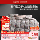 水星家纺羽绒被鹅绒被95%白鹅绒被子冬被冬季加厚被芯双人200×230约5.1斤