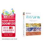 DK岩石与矿物 DK博物系列 详细了解岩石与矿物的第一本专业科普书 高清实拍图鉴 儿童自然博物百科 小学生地质启蒙课外书 开学季