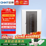 正泰强电箱配电箱明装13回路NEX5-C11300M