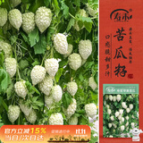 寿禾 苹果苦瓜种子苗白凉瓜不苦脆甜菜种籽 潍丰寿苦苹果苦瓜种子6粒