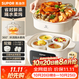 苏泊尔（SUPOR）电炖锅电炖盅隔水炖家用多功能煲汤炖汤盅陶瓷燕窝炖盅一盅五胆蒸炖一体 DZ25YC886
