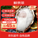 鲜京采鲜活生蚝4XL 净重5斤 10-13只 鲜活到家 源头直发 海鲜牡蛎 乳山