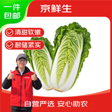 京鲜生青麻叶大白菜天津绿张家口坝上净5斤单颗800g+安心菜源头直发包邮
