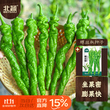 北蔬 螺丝椒种子种苗皱皮特辣辣椒四季蔬菜种籽 北蔬螺丝椒种子100粒