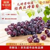 京鲜生 辽宁巨峰葡萄经典风味 尝鲜2-2.5斤 容易掉粒介意慎拍 新鲜水果