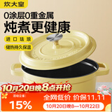 炊大皇珐琅锅铸铁锅家用炖锅砂锅汤锅焖烧锅电磁炉燃气煮锅22cm