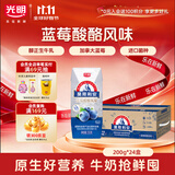 光明莫斯利安蓝莓味酸奶200g*24盒营养早餐酸奶整箱送礼京东自营