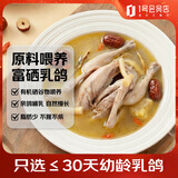 1号会员店（One's Member） 富硒乳鸽 净重900g(3只)冷冻有机硒原粮喂养烤乳鸽子炖汤食材