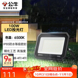 公牛（BULL）LED投光灯户外庭院工厂园林灯露营灯 IP65防水等级100W-6500K白光