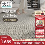 大江进口羊毛地毯客厅现代简约素色轻奢高级感沙发地毯200x300cm