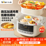 小熊（Bear）电炖盅电炖锅隔水炖家用4人用煲汤炖汤锅燕窝炖盅4.1L炖蒸煮一体微压电炖锅DDZ-J25G2