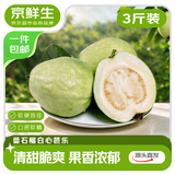 京鲜生广西白心芭乐净重3斤 单果150g+ 约6~10个 番石榴水果源头直发