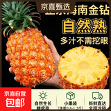 正宗海南金钻凤梨新鲜现货手撕大果巨大号多汁不需挖眼水果包邮 金钻凤梨1个装【小果】净重0.8-1.2斤