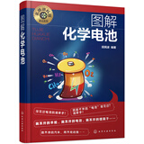 名师讲科技前沿系列--图解化学电池(图解形式，简单易学，适宜具有一定文化基础的读者。)