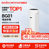 神牛  补光灯 LC500Mini补光灯 棒灯 双色温补光棒 手持摄影灯 户外便携直播拍照 人像美颜灯 可拆卸电池BG01手柄【白色】 标配