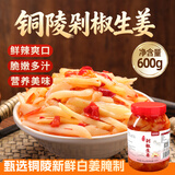 鲜窝窝 剁椒生姜片600g 安徽铜陵白姜醋泡姜芽腌制生姜仔姜下饭酱菜特产