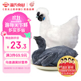 温氏供港白凤乌鸡2斤 冷冻食材 土鸡农家散养 110天以上 十全乌骨鸡