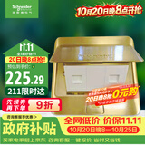 施耐德 弹出阻尼式双联六类电脑地插（不含底盒）铜质光面E226RJ6_2_BAS