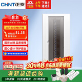 正泰强电箱配电箱明装20回路NEX5-C12000M
