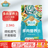 德沃多多肉营养土2.5KG阳台种植土壤花土植物颗粒土铺面石(100%颗粒)