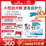 皇家狗粮幼犬奶糕宠物小型犬MIJ31全价犬粮2-10月8KG宠物金选