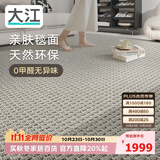 大江进口羊毛地毯客厅现代简约素色轻奢高级感沙发地毯200x300cm