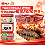 晓芹大连冷冻即食海参500g 10-14只 辽刺参 海鲜水产