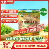 爷爷的农场儿童早餐拇指玉米400g(6-8根) 儿童拇指玉米婴儿杂粮宝宝儿童零食