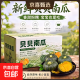 山东贝贝南瓜粉面粉糯宝宝蒸蛋辅食生鲜新鲜蔬菜减肥减脂早餐 贝贝南瓜大果 5斤 彩箱 净重