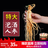 半山农新鲜人参1支约40克 东北特产长白山人参泡酒药材长辈补品年货礼品