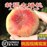 悠轶新疆蟠桃【顺丰】石河子143团蟠桃和静县纽扣扁毛桃新鲜水果礼盒 5斤特级大果