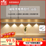 雷士（NVC）波纹猫眼感应灯带自粘橱柜灯磁吸入户玄关充电LED氛围灯银色80cm