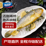 海名威冷冻黄花鱼600g/条 宁德大黄鱼 海鱼 生鲜鱼类 海鲜水产