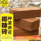 寿禾 椰砖营养土椰糠种菜用乌龟冬眠大块养花多肉通用 椰砖3块