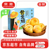 京觅山东蒙阴黄金油蟠桃 净重4.5斤甄选礼盒 单果150g+ 源头直发包邮