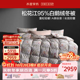 水星家纺羽绒被鹅绒被95%白鹅绒被子冬被冬季加厚被芯双人200×230约5.1斤