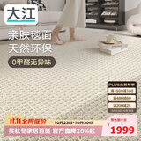 大江进口羊毛地毯客厅现代简约素色轻奢高级感沙发地毯200x300cm