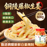 鲜窝窝 藤椒生姜片600g  安徽铜陵白姜醋泡姜芽腌制生姜仔下饭酱菜特产