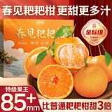 沐小七果蔬 四川春见耙耙柑【多地次日达】粑粑柑丑八怪橘子水果礼盒整箱 【很甜】特级果｜70-85mm单果 5斤礼箱装【送礼适宜】净4.5斤