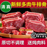李师傅 原切黄牛排骨满肉牛肋排新鲜多肉黄牛排骨带骨牛肉新鲜散养黄牛 新鲜多肉黄牛排骨5斤