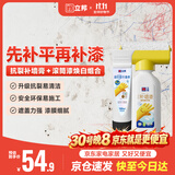 立邦钉眼孔洞修复包基础版墙面抗裂白色 补墙膏100ml+补墙漆500g