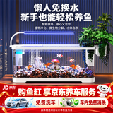 阔庭（KUOTING）鱼缸水族箱客厅桌面生态造景家用带灯制氧过滤鱼缸白色【超大号】