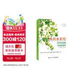 极简水彩绘：花卉的构图与色彩美学