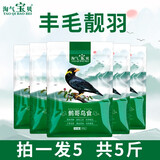 淘气宝贝鹩哥鸟食鸟粮八哥鸟饲料营养宠物食品500g 精品鹩哥鸟粮 精品鹩哥鸟食5袋