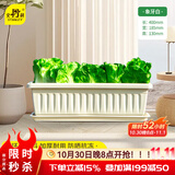 史丹利阳台种菜盆专用家用花盆长方形塑料蔬果盆栽象牙白【长400mm】