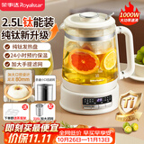 荣事达（Royalstar）养生壶 2.5升大容量纯钛煮茶壶烧水壶家用恒温水壶24H保温炖煮一体 母婴恒温电热水壶  YSH25E(Ti)
