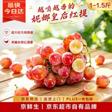 京鲜生 云南妮娜皇后红提 红酒风味葡萄1-1.5斤 单果12g起 新鲜水果